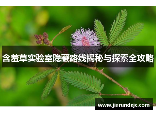含羞草实验室隐藏路线揭秘与探索全攻略