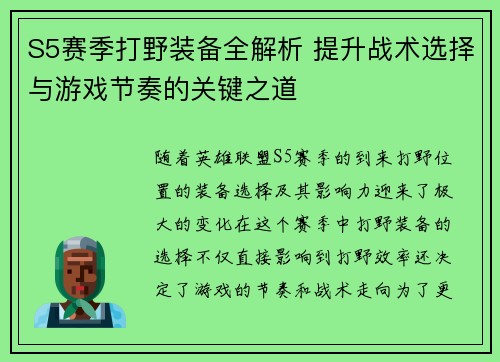 S5赛季打野装备全解析 提升战术选择与游戏节奏的关键之道